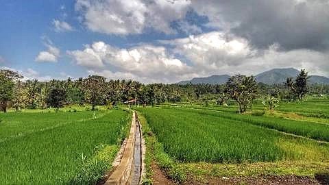 Pozemky pro bydlení, Bebandem, Karangasem, Indonézie - 2