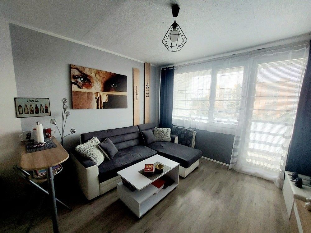 Pronájem byt - Horní Bříza, 330 12