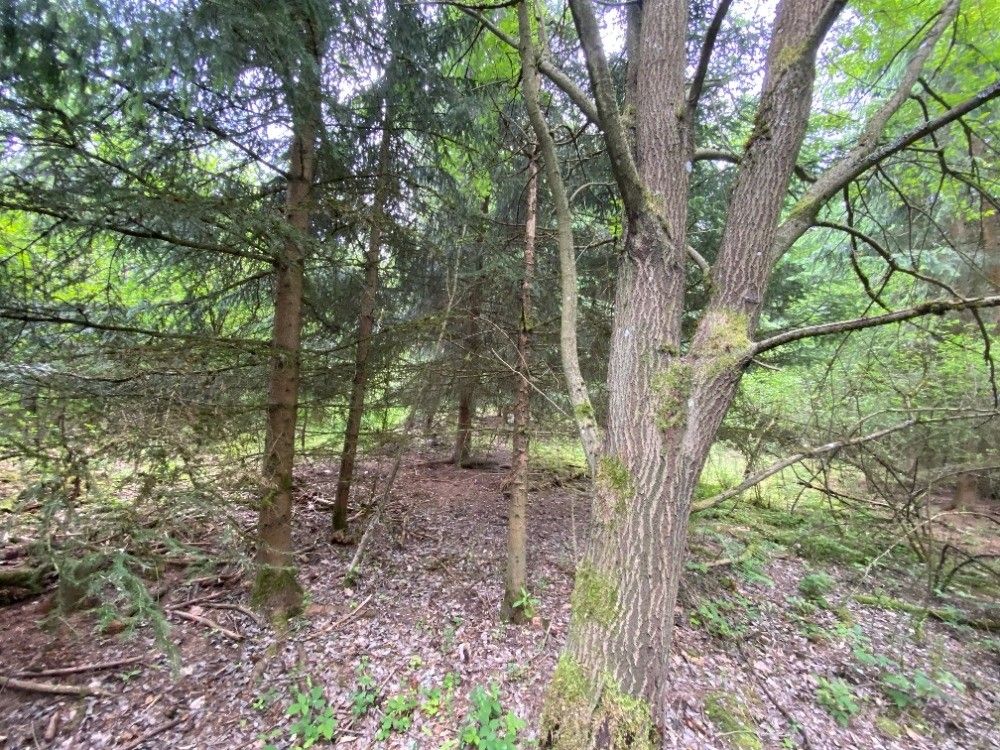 Prodej pozemek pro bydlení - Horšovský Týn, 346 01