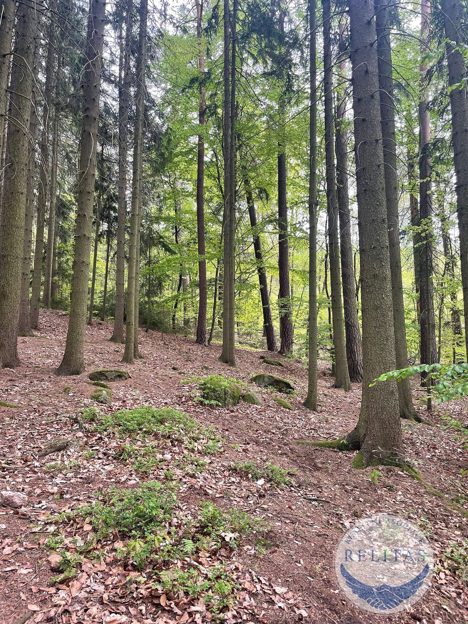 Les, 7 759 m²