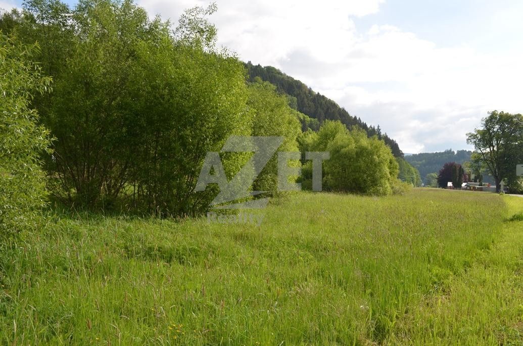 Prodej pozemek pro bydlení - Potůčník, Hanušovice, 4 500 m²