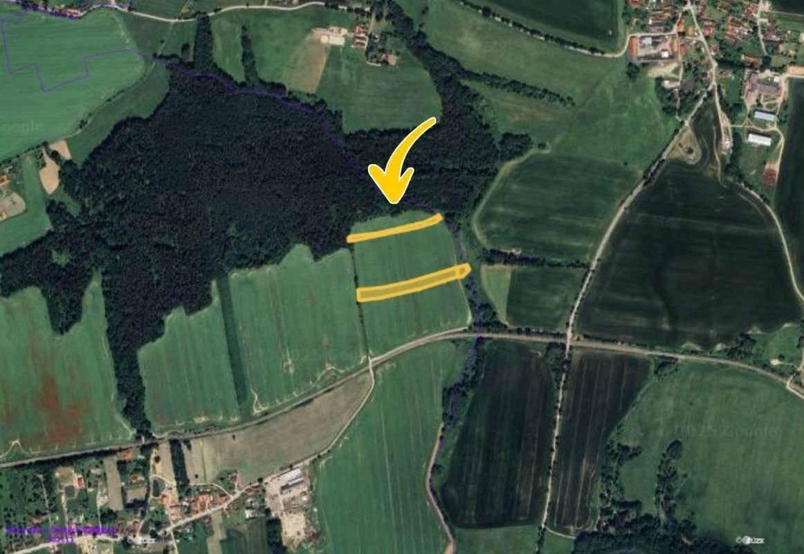 Prodej zemědělský pozemek - Nová Ves, 10 013 m²