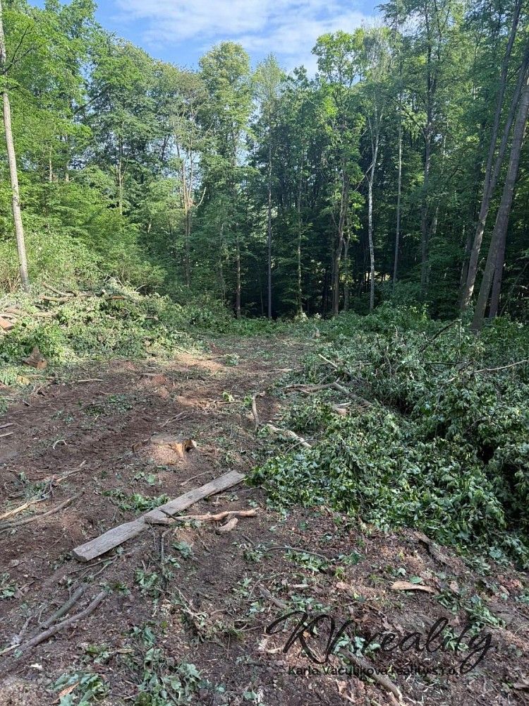 Lesy, Kelč - Komárovice, okres Vsetín, Zlínský kraj - 2
