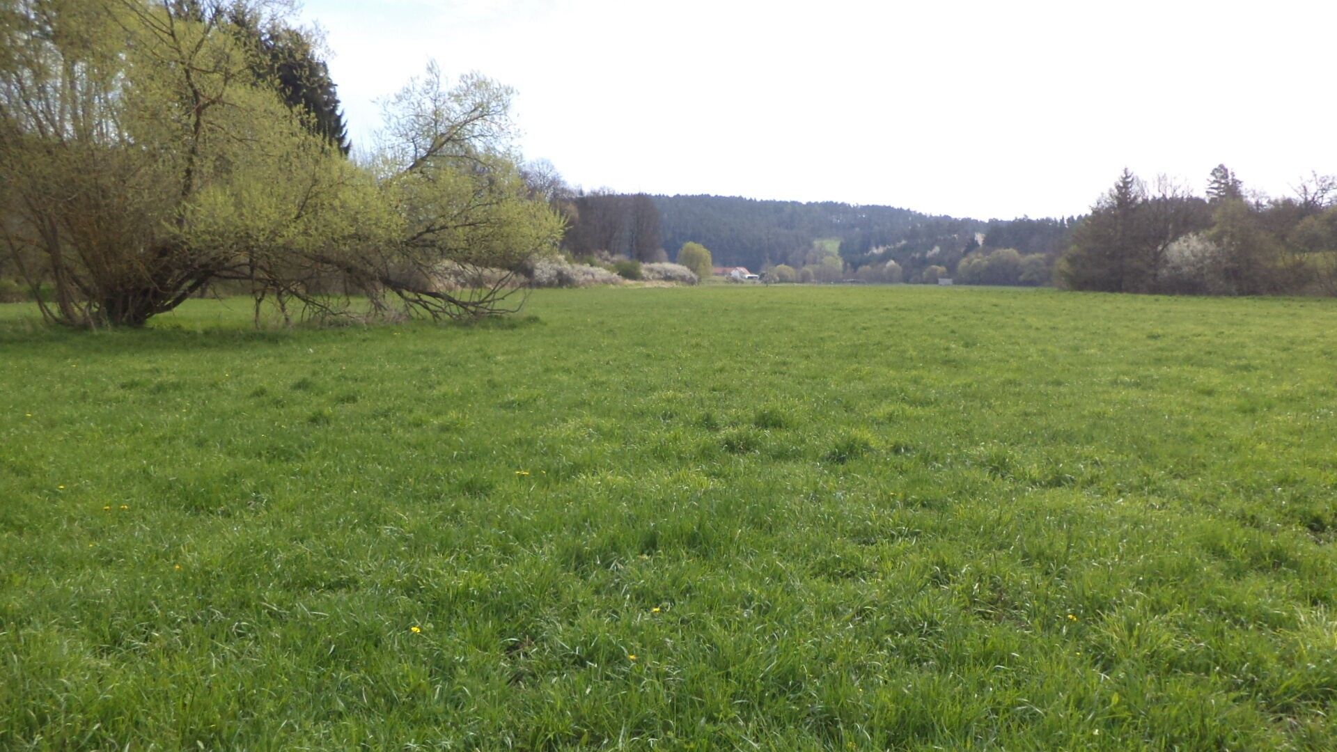 Ostatní, Dančovice, Dešná, 4 m²