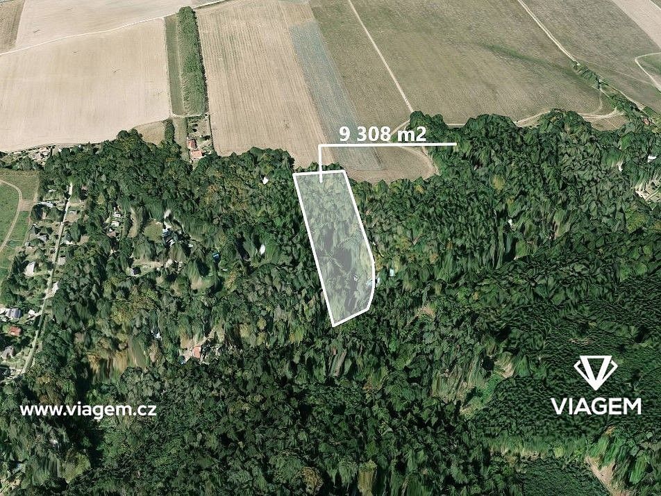 Prodej les - Chyňava, okres Beroun, Středočeský kraj - 1