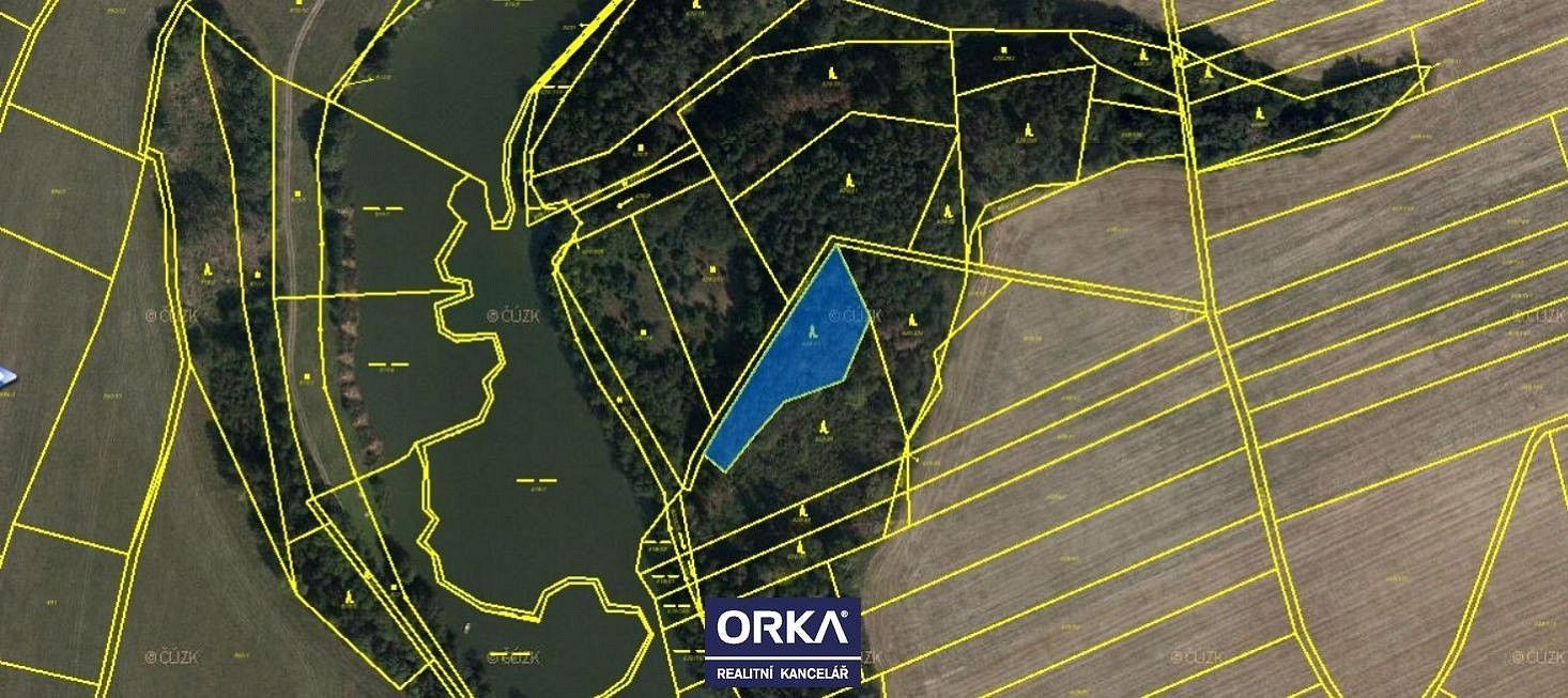 Prodej les - Otinoves, okres Prostějov, Olomoucký kraj - 2