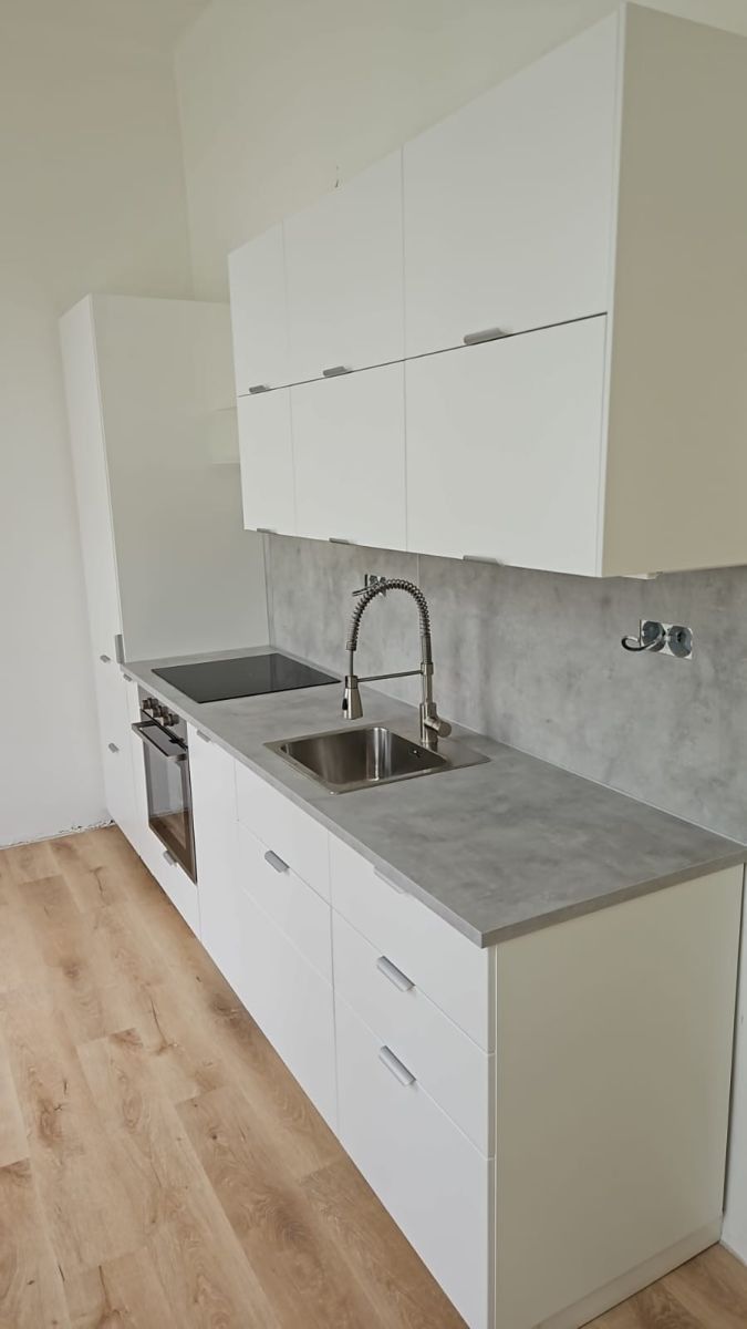 Byt 1+1 · 59 m² · Americká, Praha - Vinohrady - 3