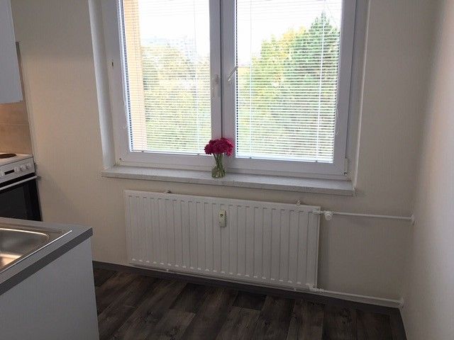 1+1, Ostrava - Hrabůvka, okres Ostrava-město, Moravskoslezský kraj, 39 m² - 2