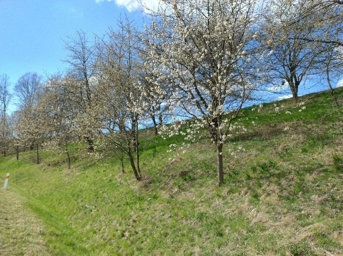 Pozemky pro bydlení, Rychnov nad Kněžnou, 516 01 - 2