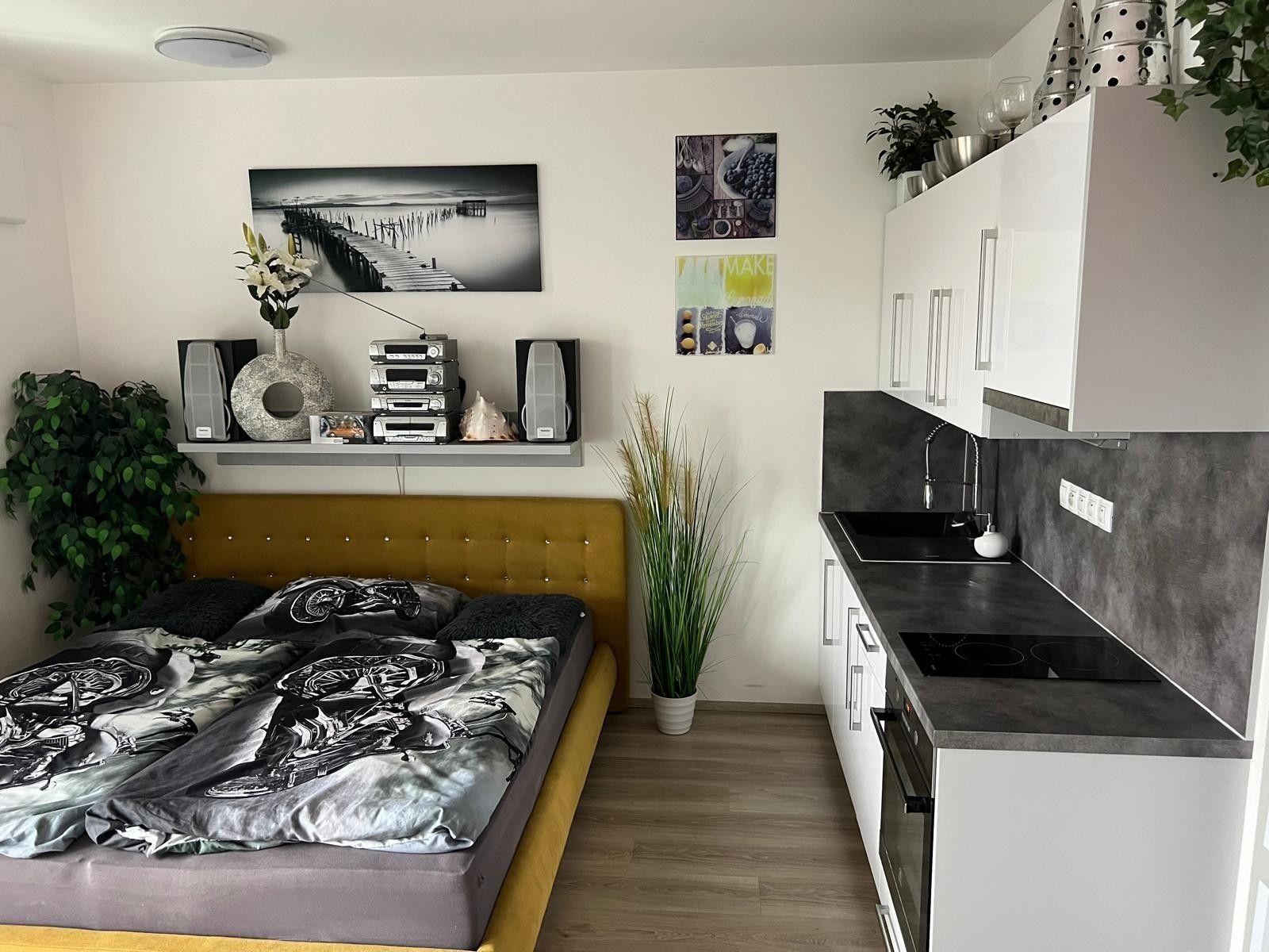 Byt 1+kk · 42 m² · Kollárova, Plzeň - Plzeň, Plzeňský kraj - 4