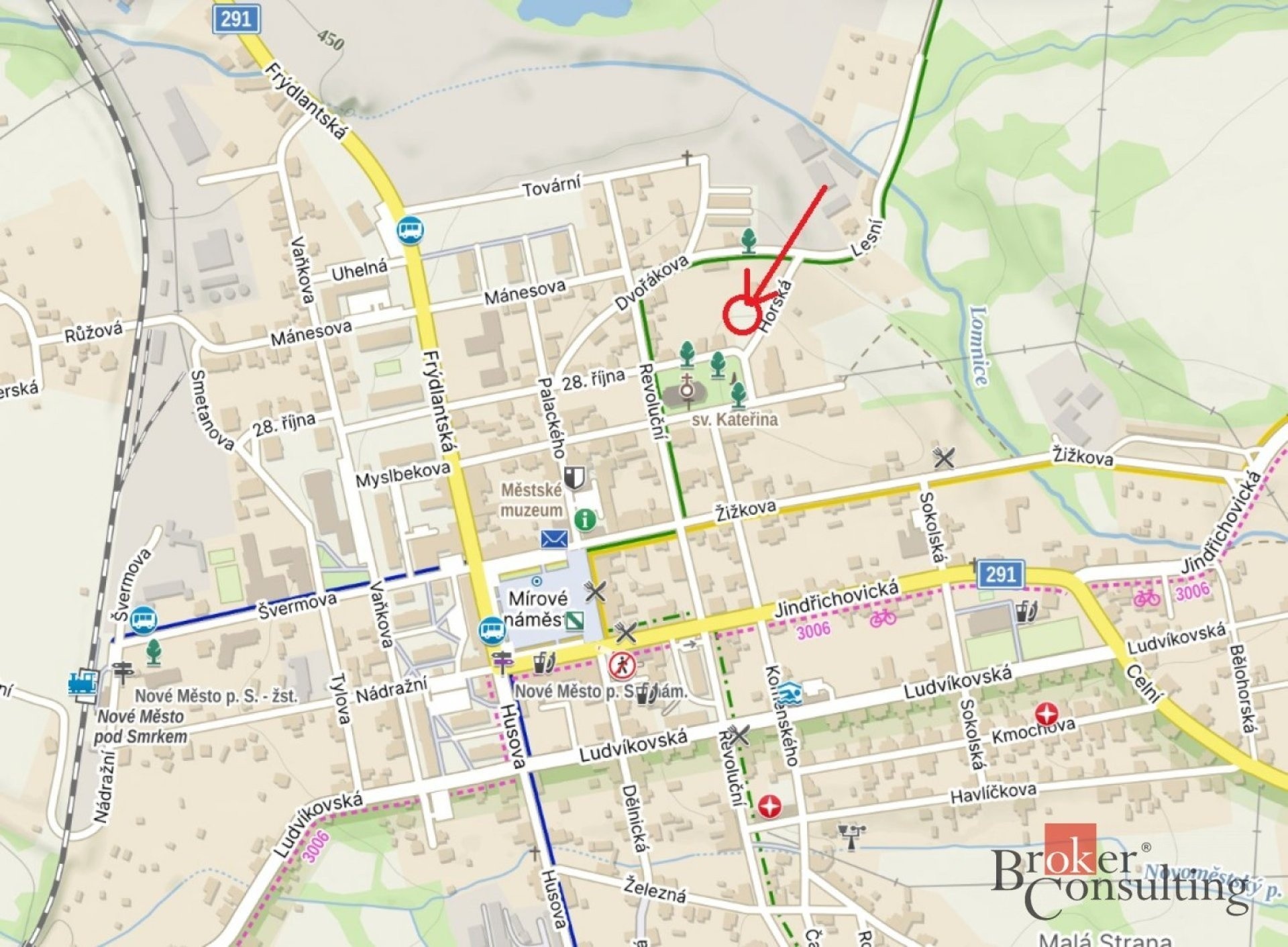 Zahrada · 593 m² · Nové Město pod Smrkem - 3