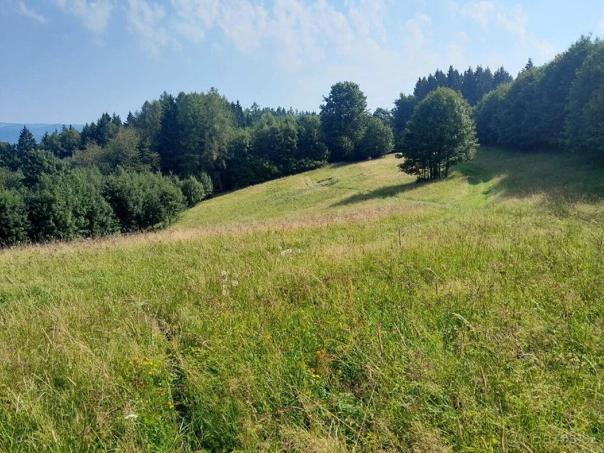 Pozemek pro bydlení · Nový Hrozenkov, 756 04 - 3