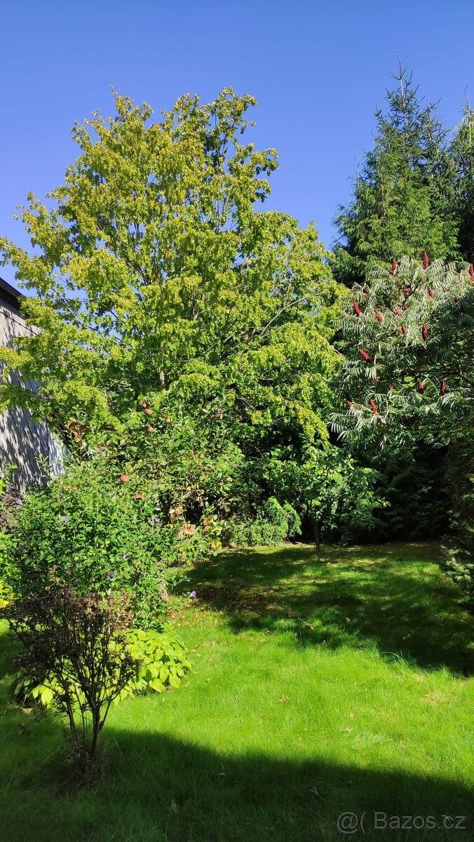 Prodej rodinný dům - Domažlice, 344 01 - 5