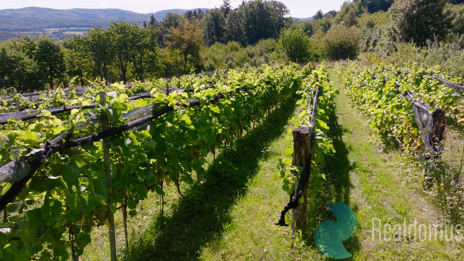 Ostatní, Lhenice, 8 m²