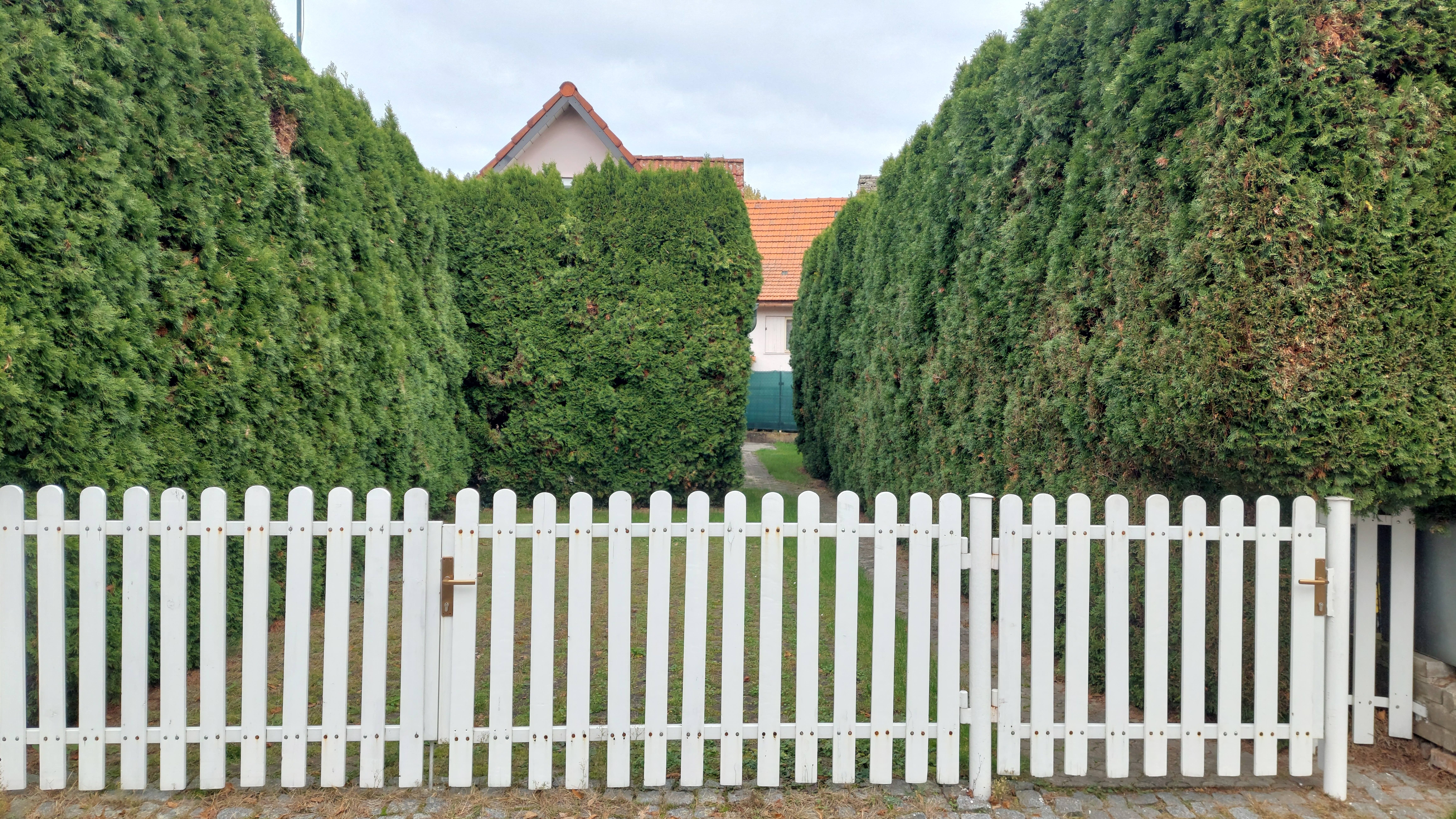 Prodej chalupa - Janová, 298 m²