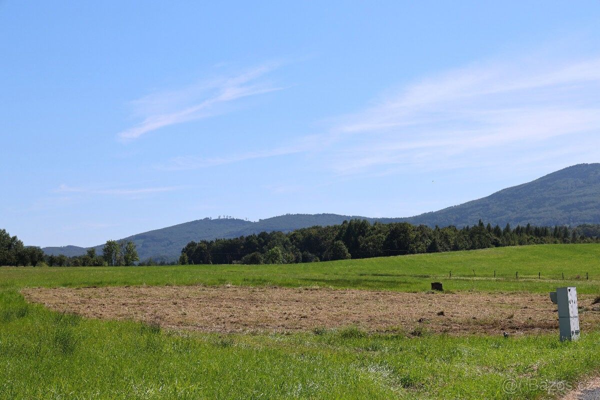 Prodej pozemek pro bydlení - Žulová, 790 65, 12 850 m²