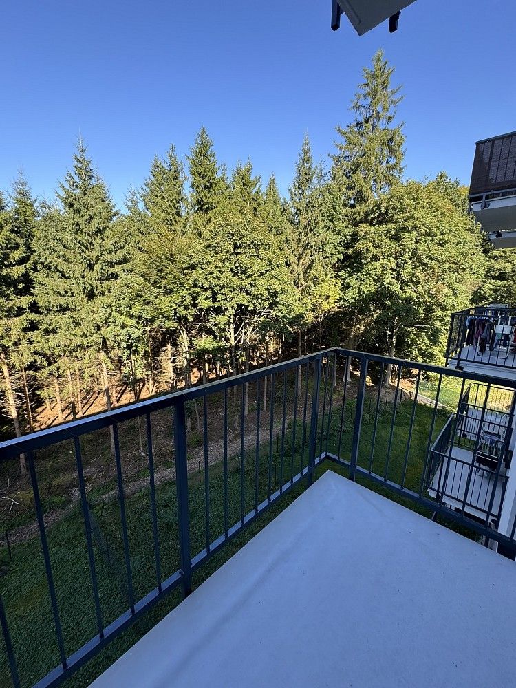 Pronájem byt 1+kk - Mariánské Lázně, okres Cheb, Karlovarský kraj, 28 m² - 5