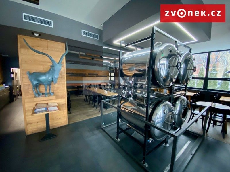 Obchodní prostory, Novosady, Holešov, 500 m²