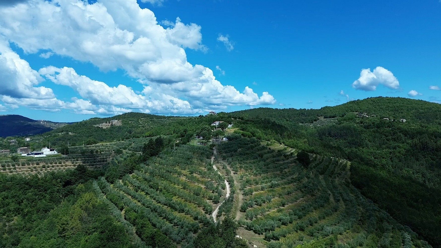 Pozemky pro bydlení, Motovun, HR - 2