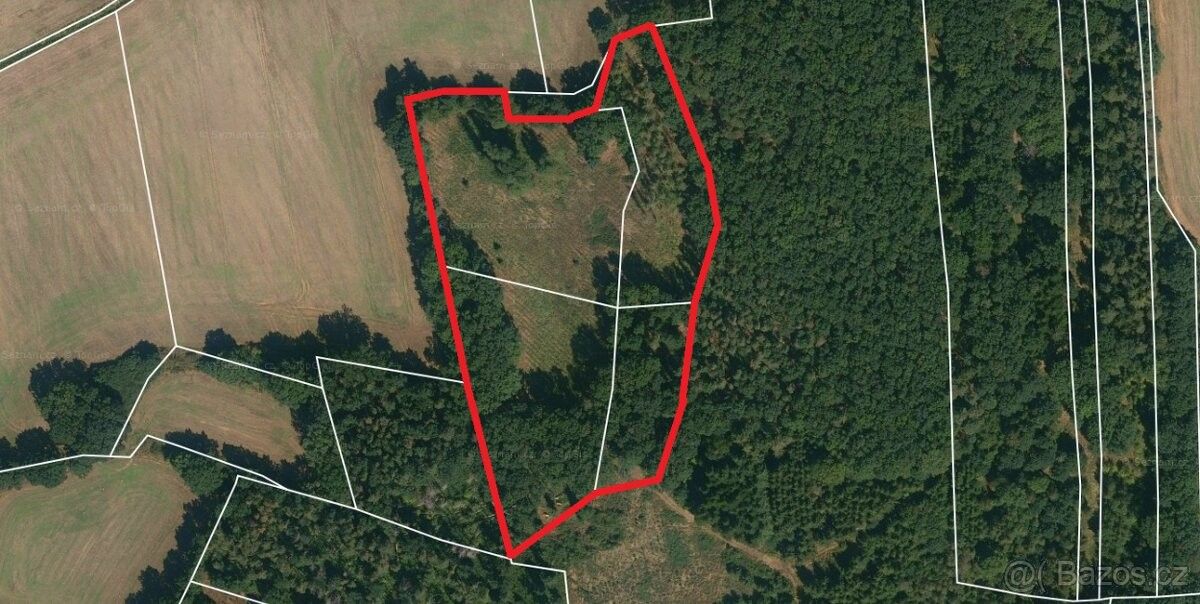 Prodej pozemek pro bydlení - Protivín, 398 11