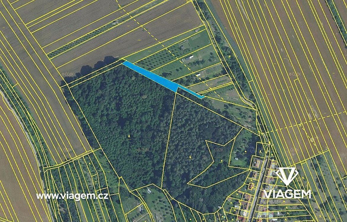 Les · Březolupy, okres Uherské Hradiště, Zlínský kraj - 4