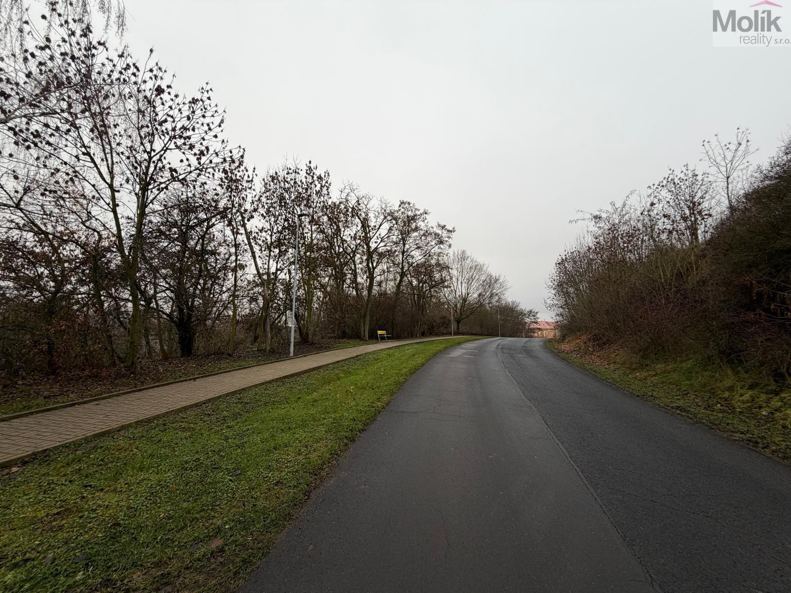 Prodej komerční pozemek - Zabrušany, 15 490 m² - 5