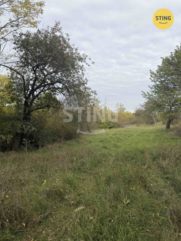 Prodej pozemek - Kleneč, 10 074 m² - 5