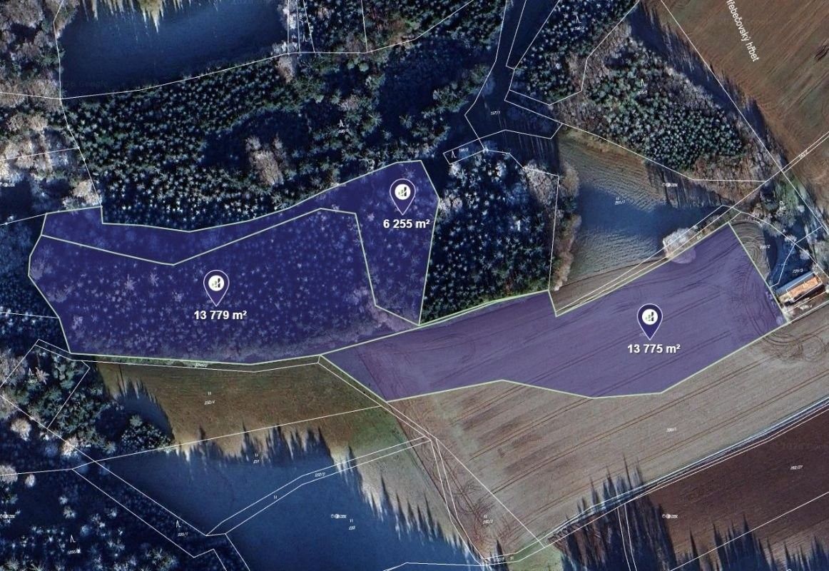 Zemědělské pozemky, Česká Rybná, 41 677 m²