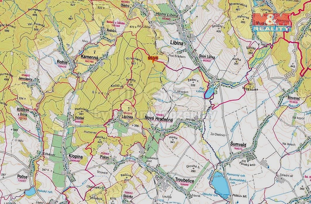 Les · Nová Hradečná, okres Olomouc, Olomoucký kraj - 4