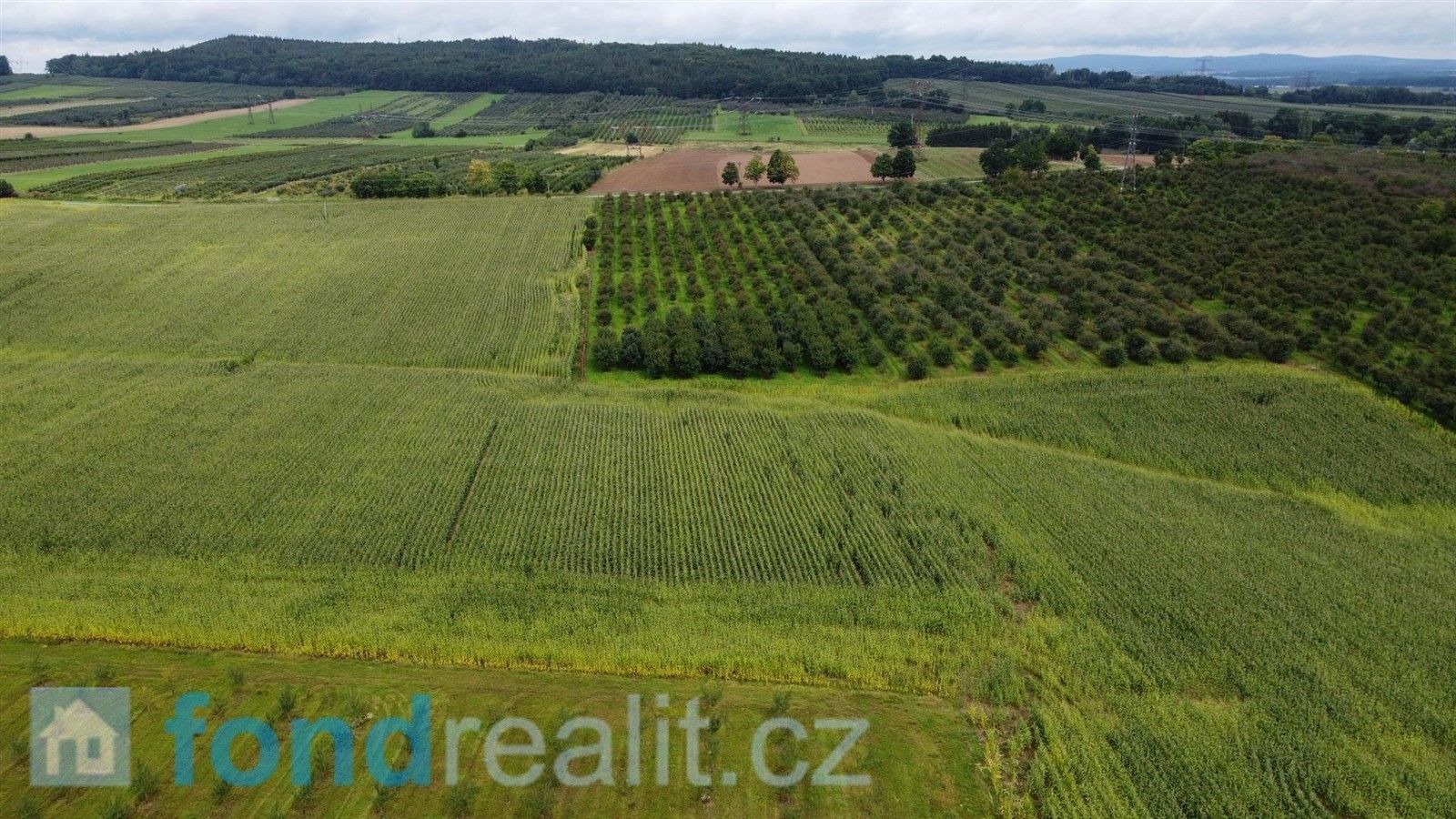 Zemědělské pozemky, Krtely, Malovice, 4 926 m²