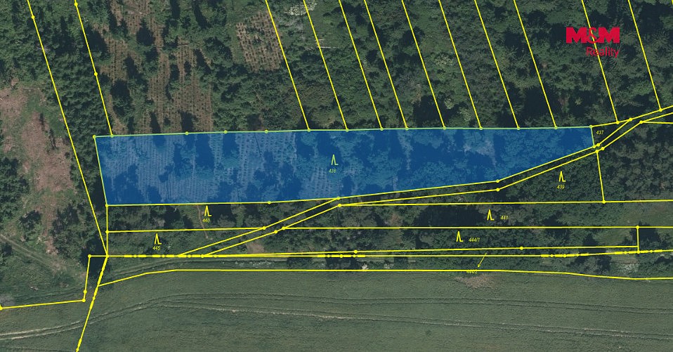 Les · Slabčice - Písecká Smoleč, okres Písek - 4