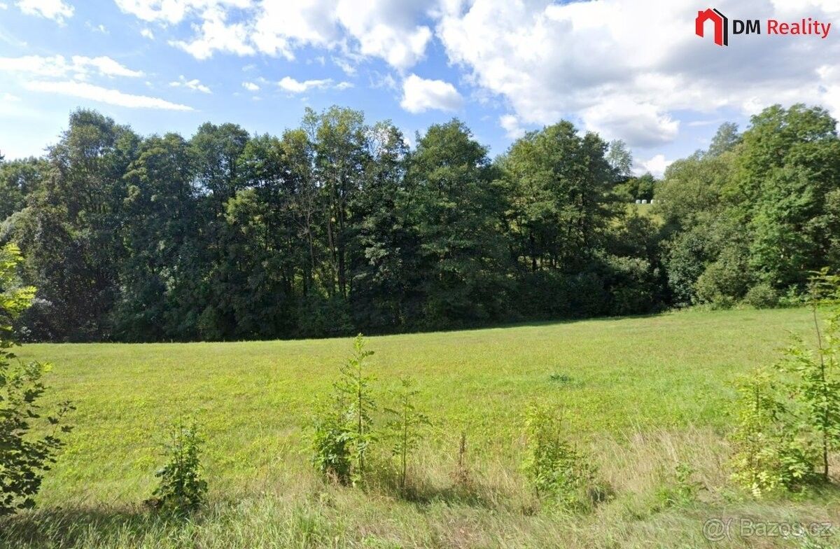 Ostatní, Železný Brod, 468 22