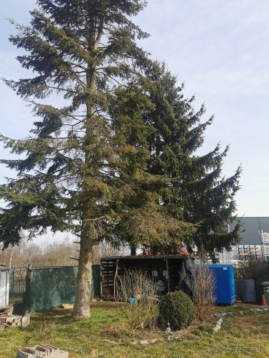 Prodej zahrada - Cheb, 350 02