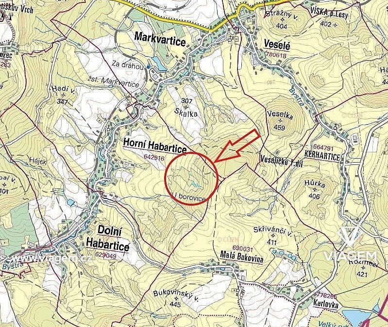 Les · Horní Habartice, okres Děčín, Ústecký kraj - 3