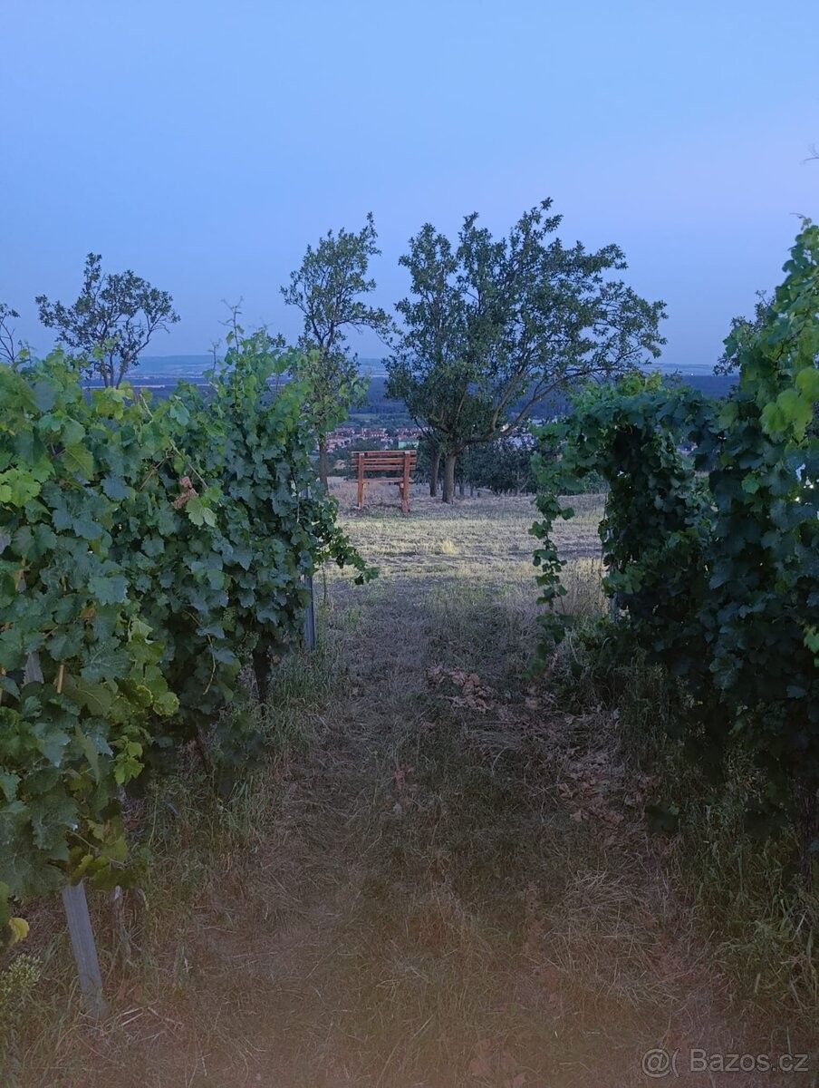 Pozemky pro bydlení, Bzenec, 696 81 - 1