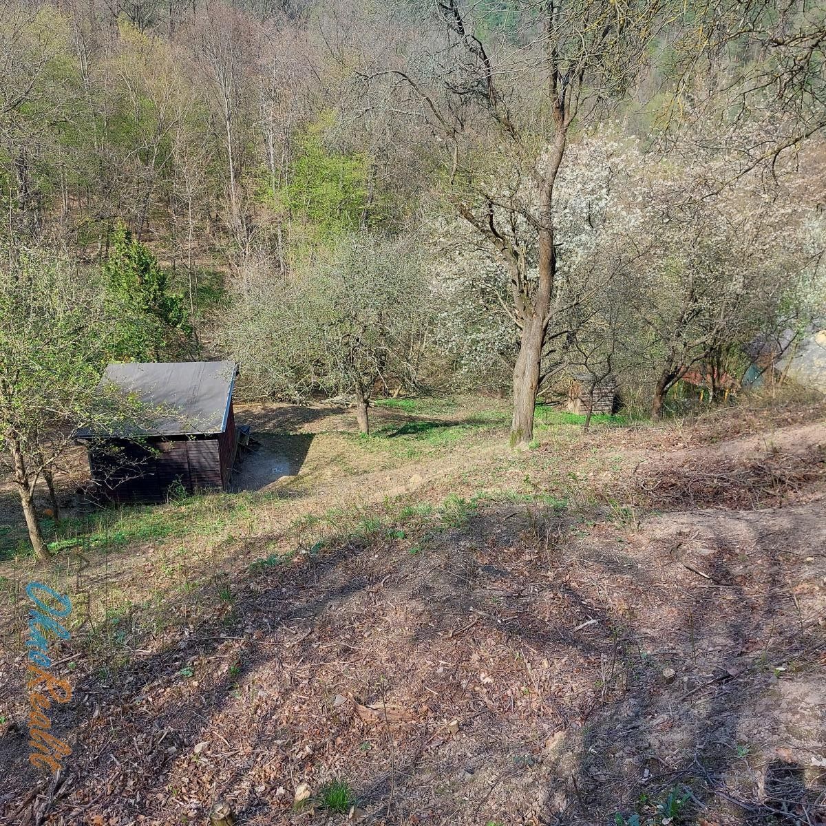 Prodej pozemek pro bydlení - Soběšická, Bílovice nad Svitavou - 5