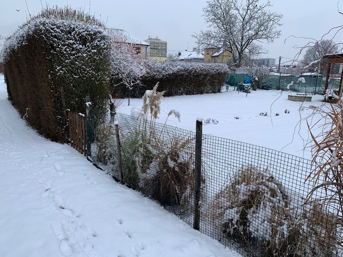 Pronájem zahrada - Pardubice, 530 03