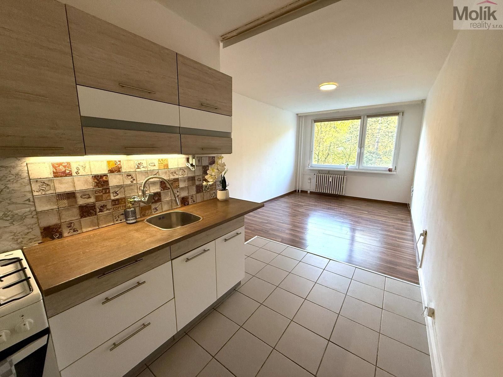 2+kk, Josefa Suka, Most, 40 m² - 1