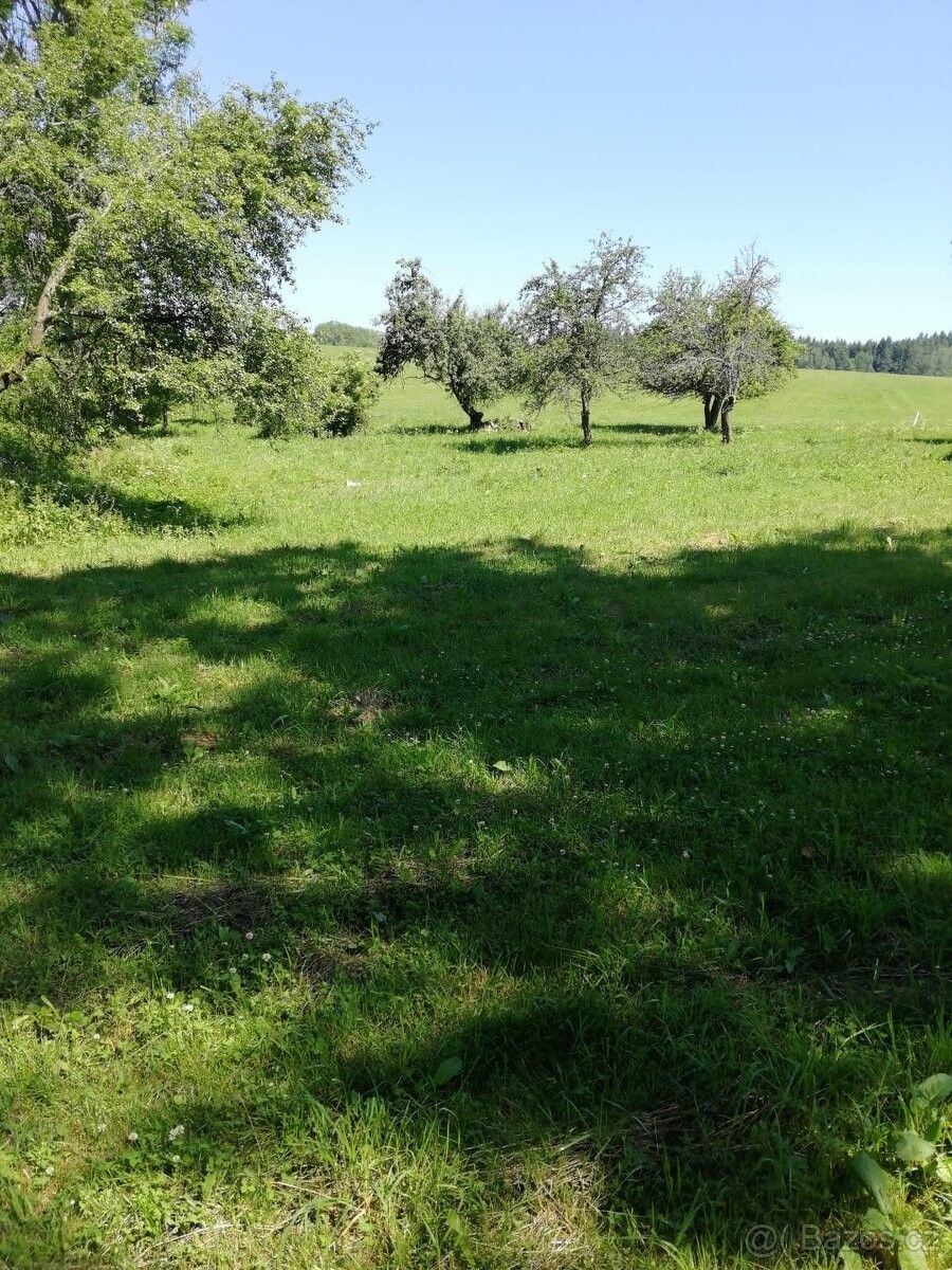 Prodej pozemek pro bydlení - Český Krumlov, 381 01