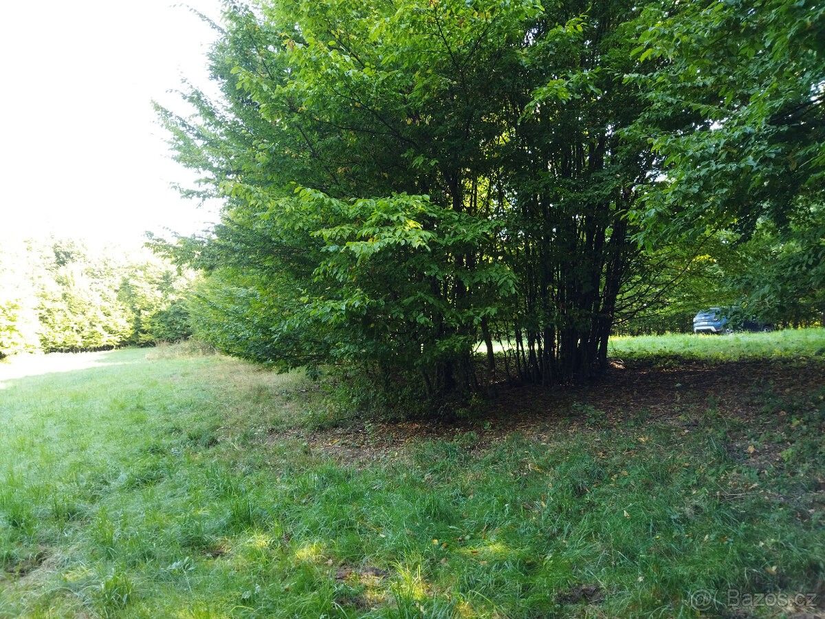 Pozemky pro bydlení, Doubravník, 592 61 - 2