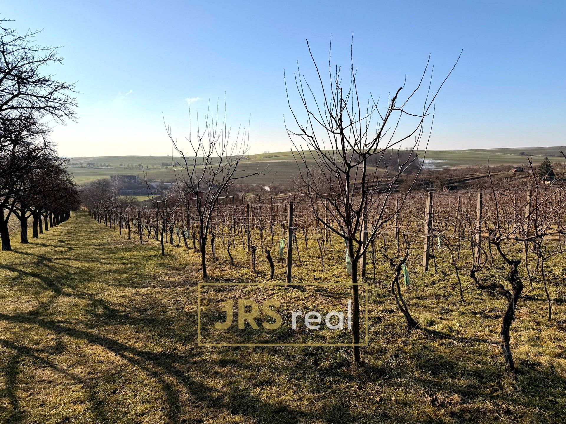 Prodej zemědělský pozemek - Svatobořice-Mistřín