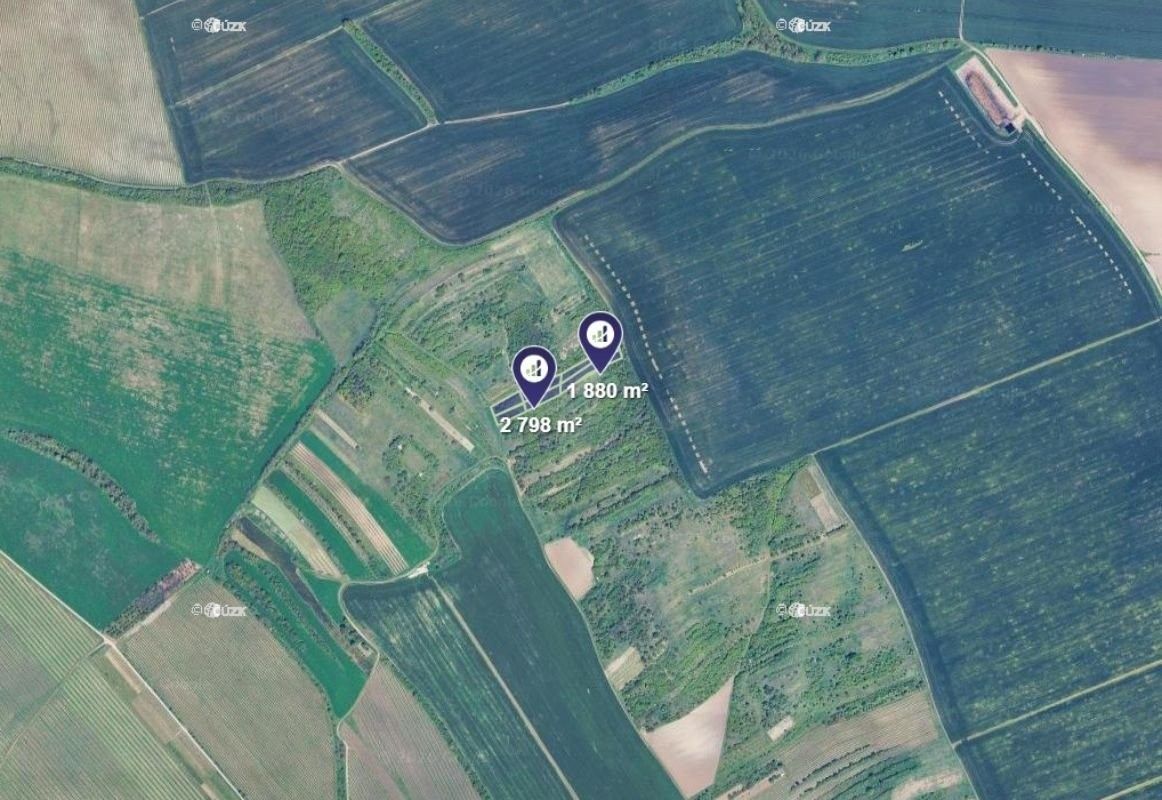 Prodej zemědělský pozemek - Nosislav, 4 678 m²