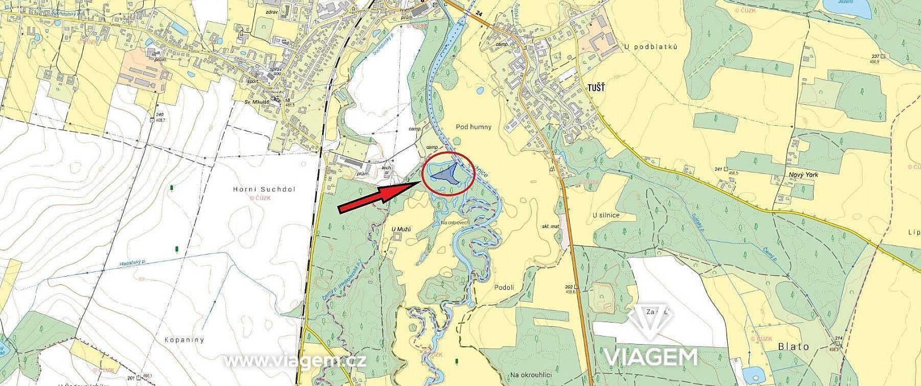 Les · Dvory nad Lužnicí, okres Jindřichův Hradec, Jihočeský kraj - 3