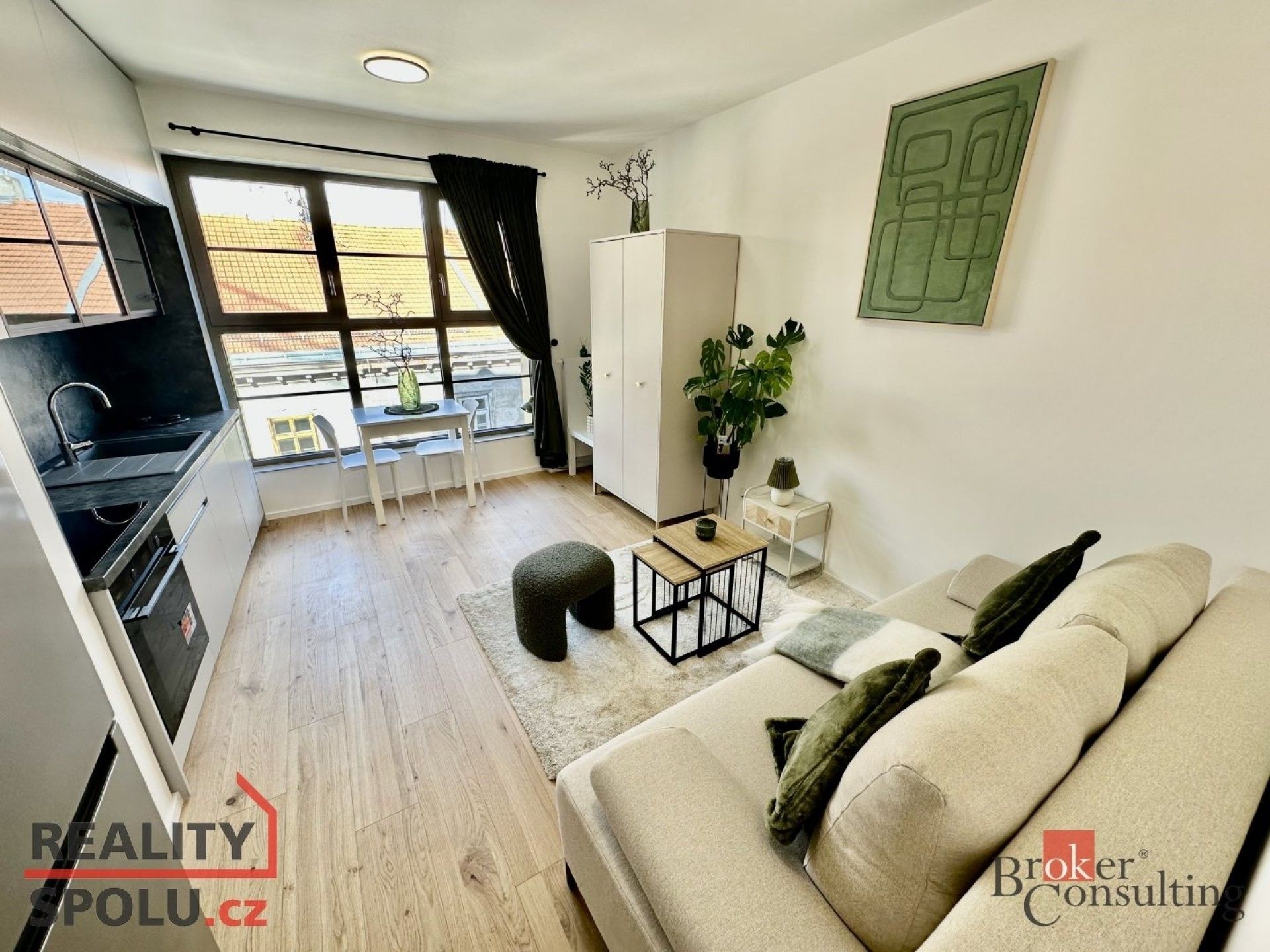 1+kk, Bratislavská,Brno-sever,Brno, 24 m²