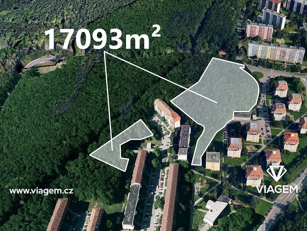 Les · Brno, okres Brno-město, Jihomoravský kraj - 1