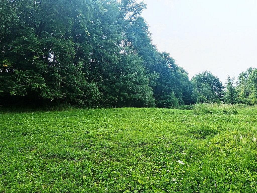 Zahrada · Třinec - Dolní Líštná, okres Frýdek-Místek, Moravskoslezský kraj - 3