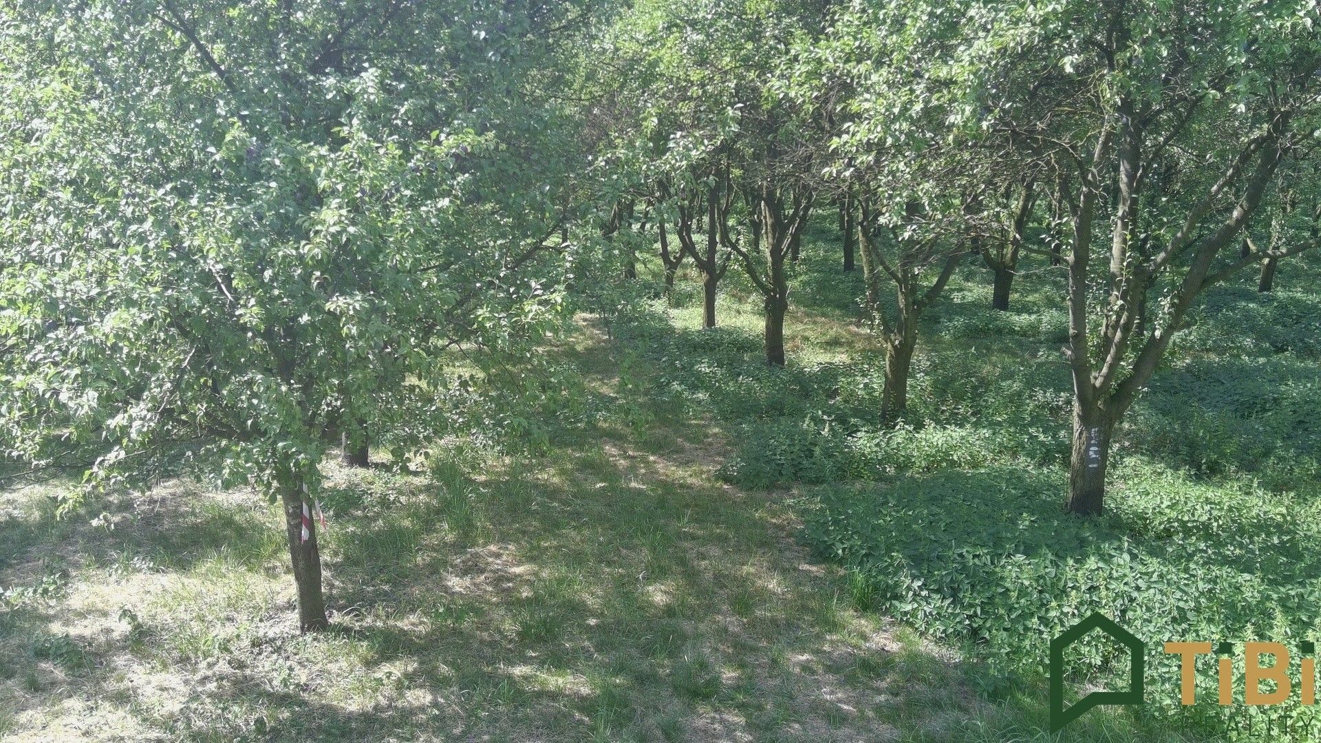 Ostatní, Vanovice, 5 319 m² - 2