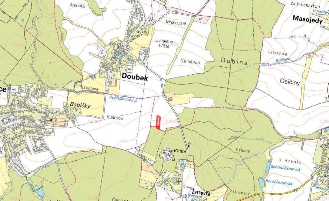 Prodej zemědělský pozemek - Doubek