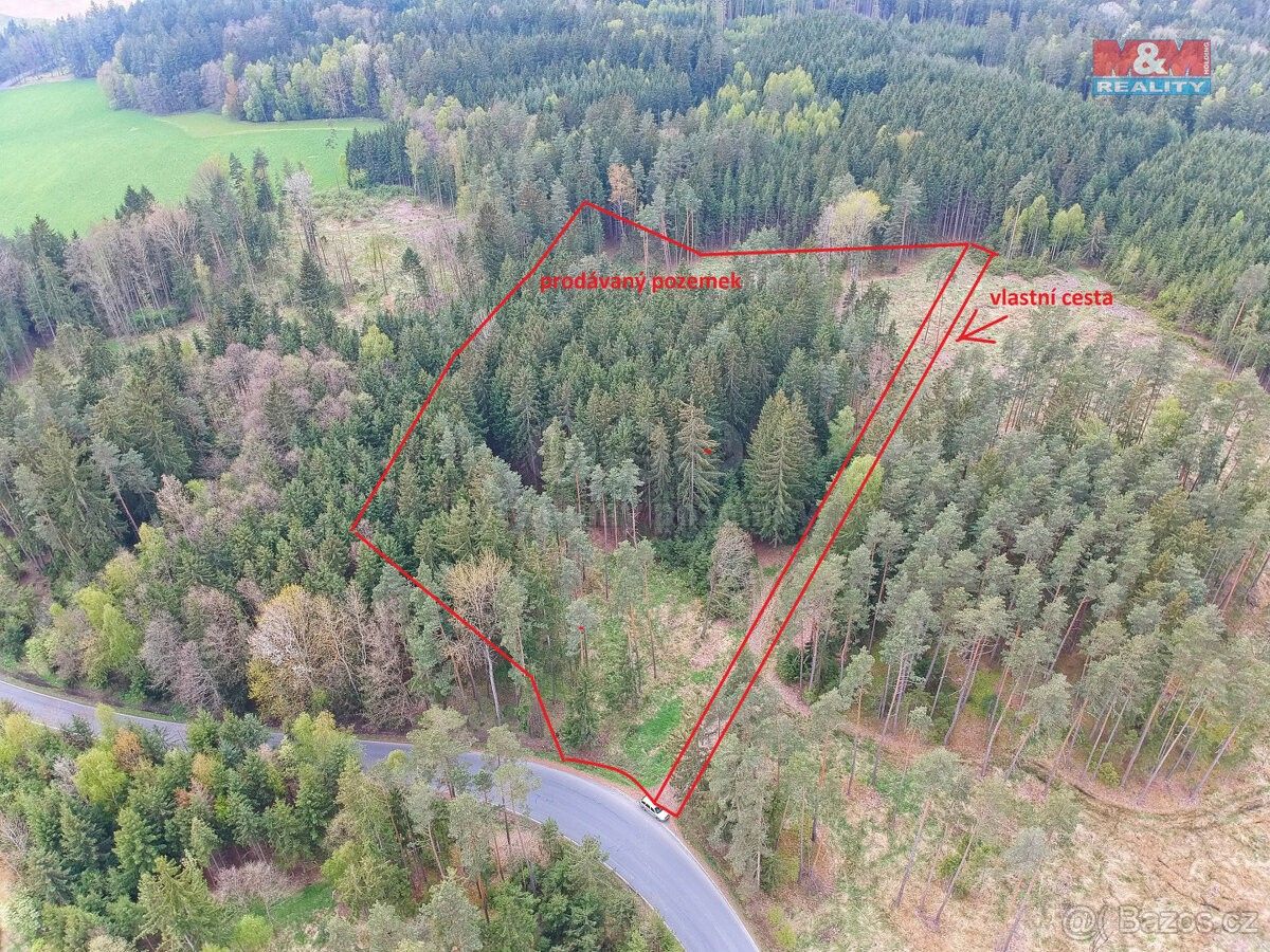 Prodej les - Nová Včelnice, 378 42, 34 776 m²