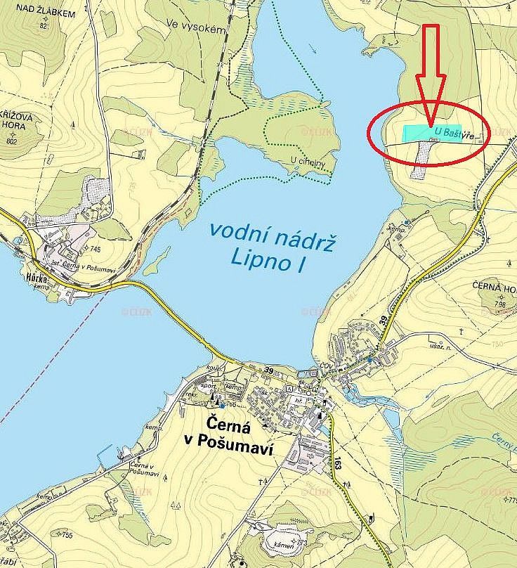 Louka · Černá v Pošumaví - Mokrá, okres Český Krumlov, Jihočeský kraj - 3